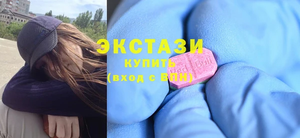 ECSTASY Богданович